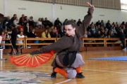 The 2nd Greek Shaolin Cultural Festival