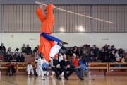 The 2nd Greek Shaolin Cultural Festival