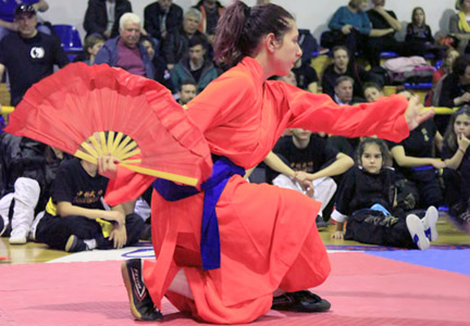 3rd International Martial Arts Festival