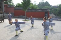 Meditation, Qi Gong and Shaolin Kung Fu | Διαλογισμός, Τσι Γκον και Σαολίν Κουνγκ Φου