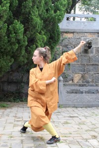 Shaolin Kungfu in Yong Tai Temple