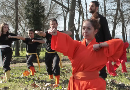 Shaolin Kung Fu Middle Level Training