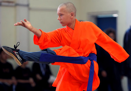 The 1st Hellenic Shaolin Culture Festival