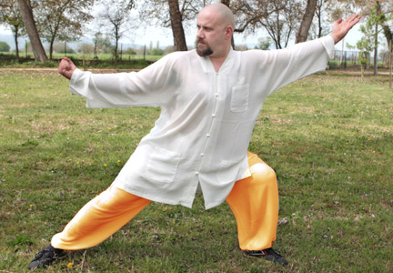 Shaolin Rou Quan the Soft Fist of Shaolin