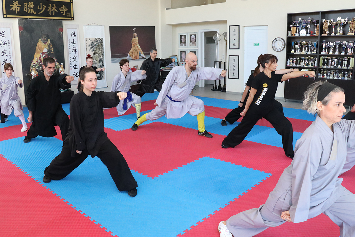 Εκπαίδευση στο Shaolin Kung Fu Duan Pin