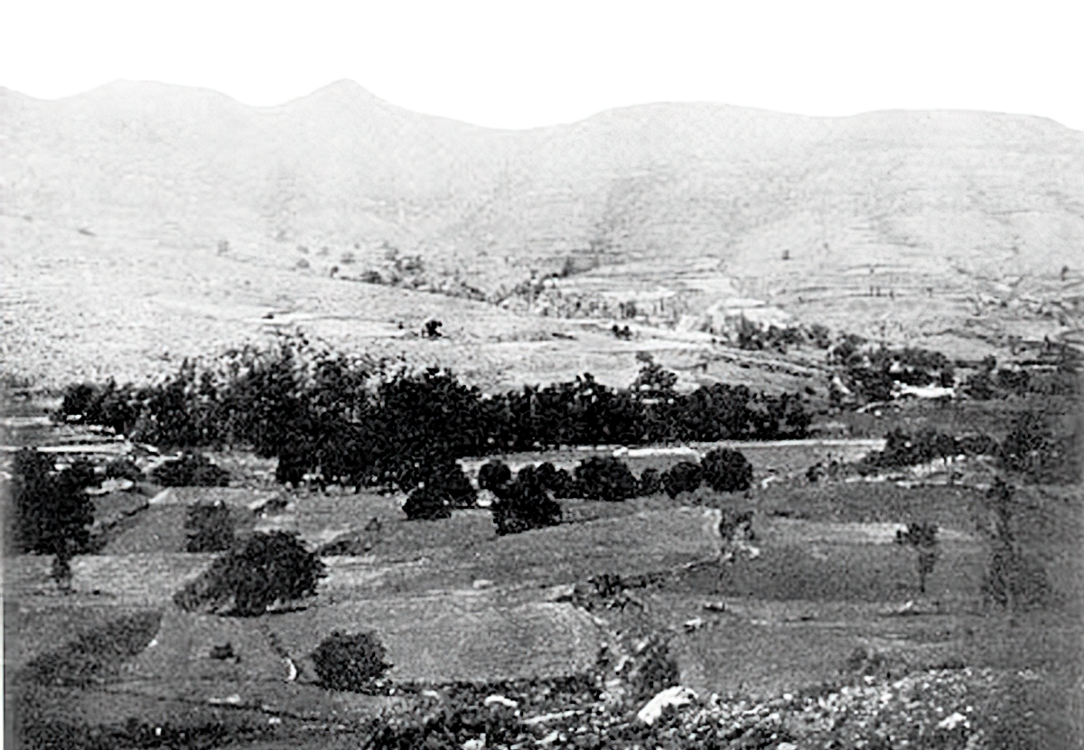 1920. Πανοραμική Φωτογραφία του του Δάσους με τις Παγόδες